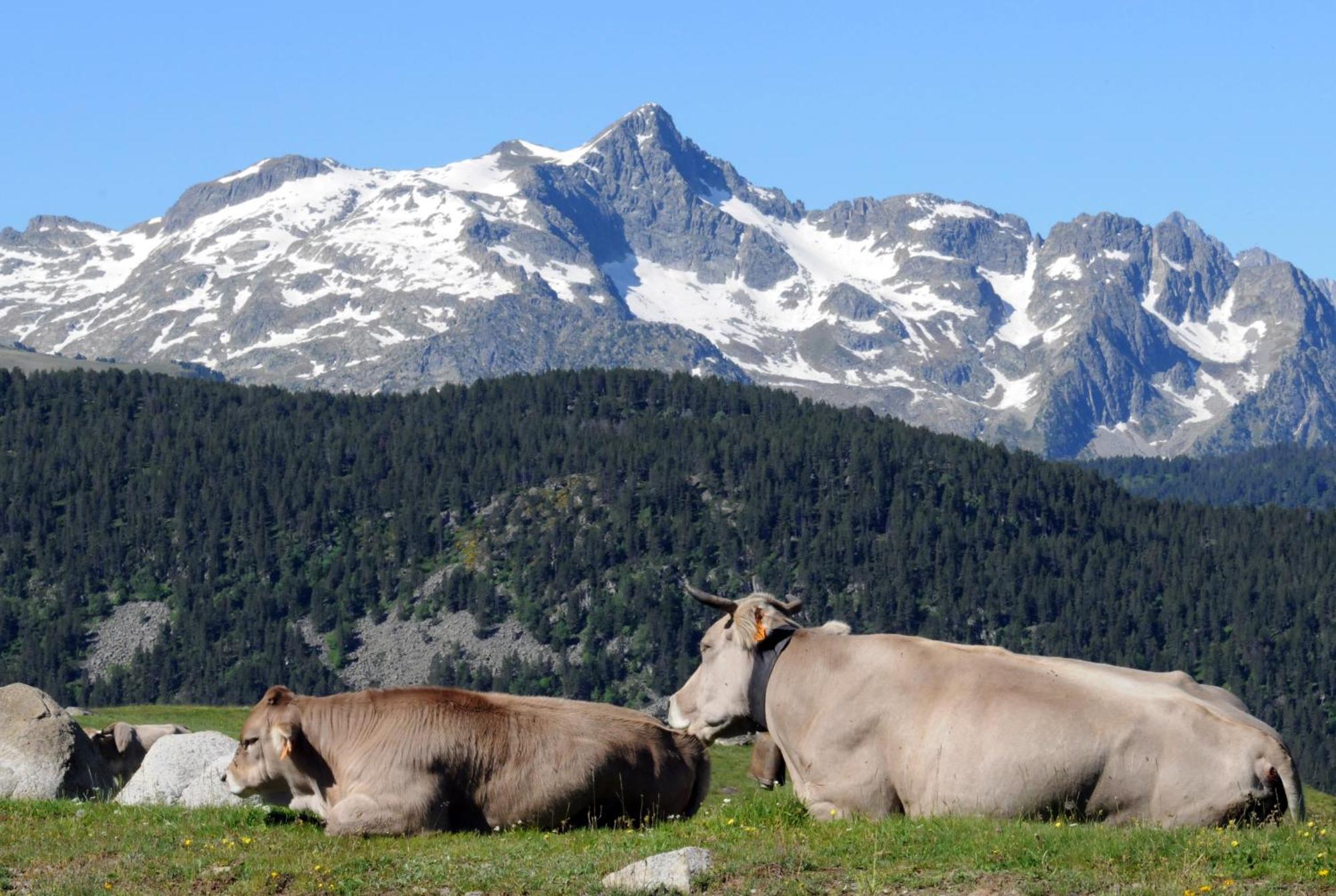 Suite Aparthotel El Refugio de Aran Vielha e Mijaran Buitenkant foto