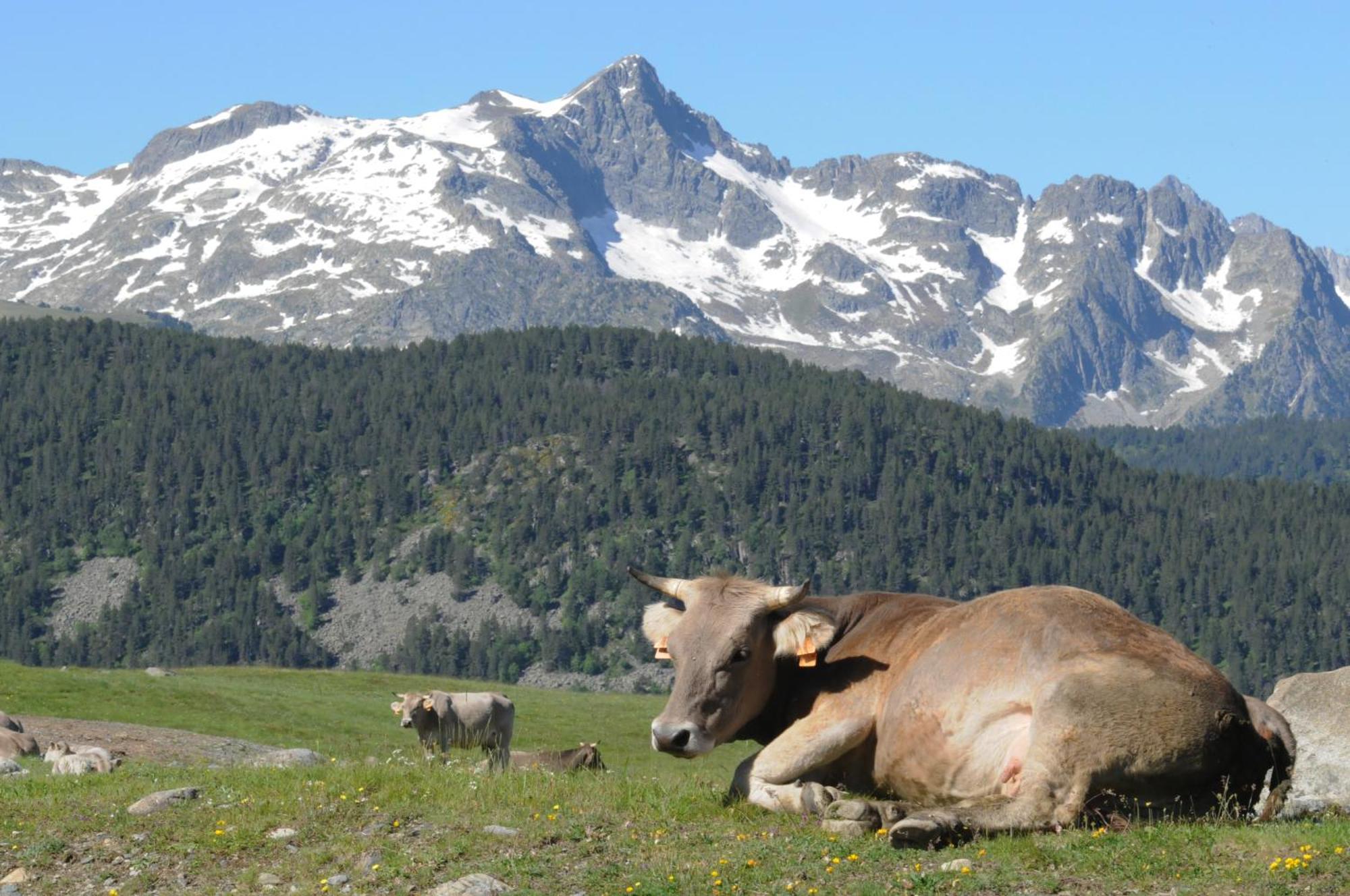 Suite Aparthotel El Refugio de Aran Vielha e Mijaran Buitenkant foto